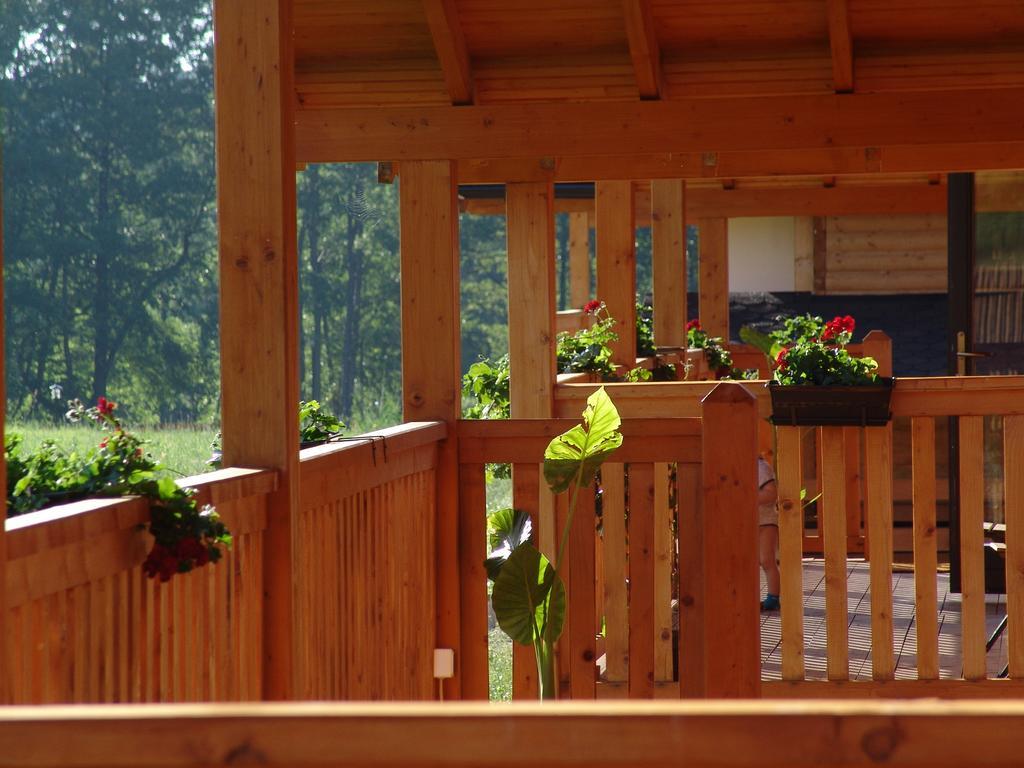 Complex Agroturistic Livada De Nuci Villa Baia de Fier Ngoại thất bức ảnh
