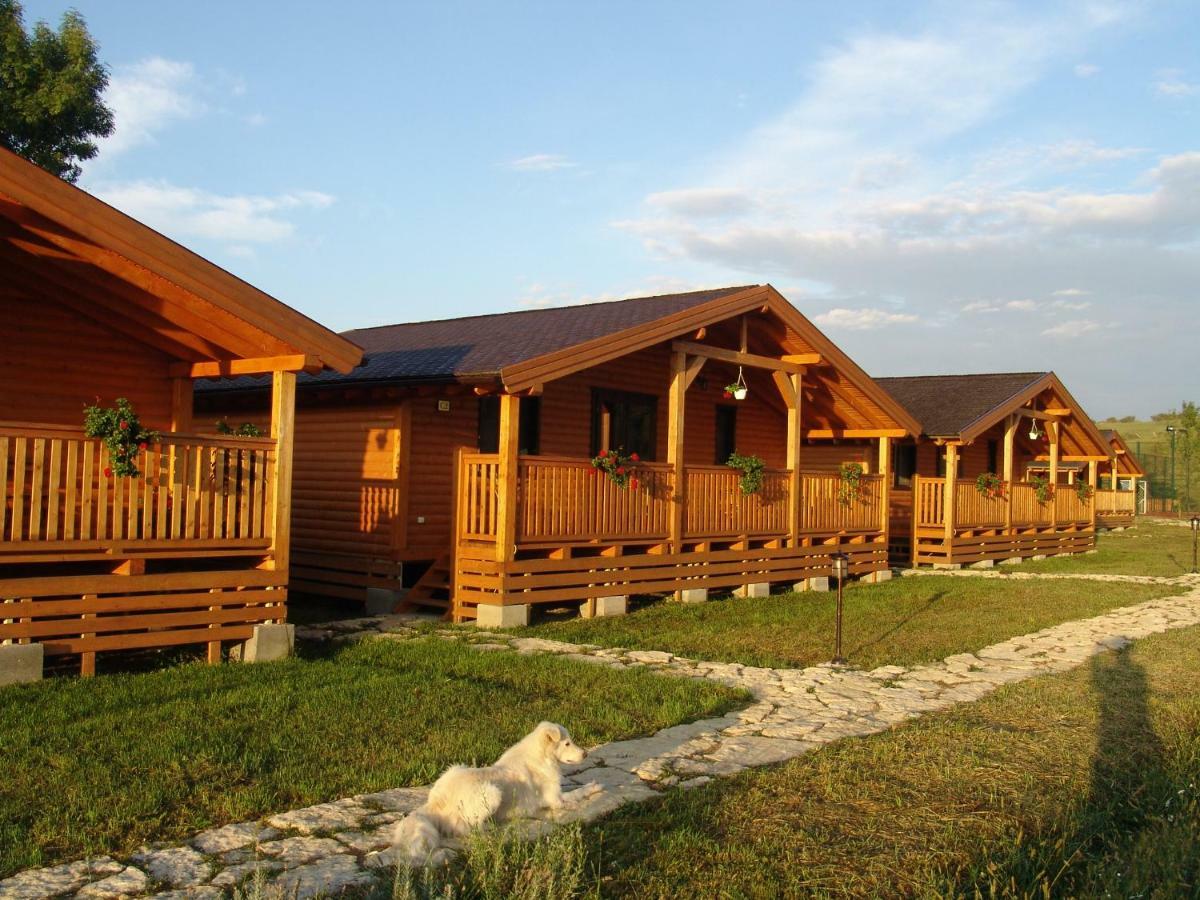 Complex Agroturistic Livada De Nuci Villa Baia de Fier Ngoại thất bức ảnh