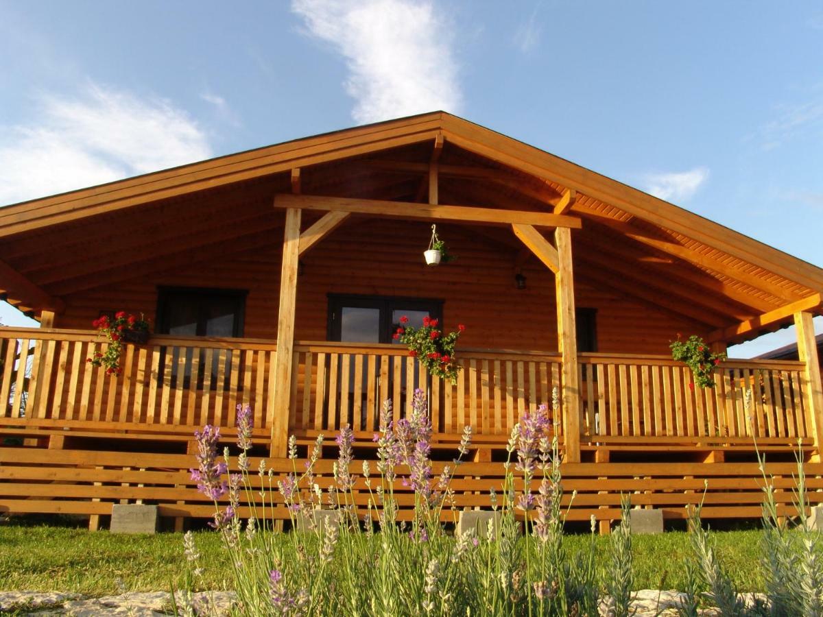 Complex Agroturistic Livada De Nuci Villa Baia de Fier Ngoại thất bức ảnh
