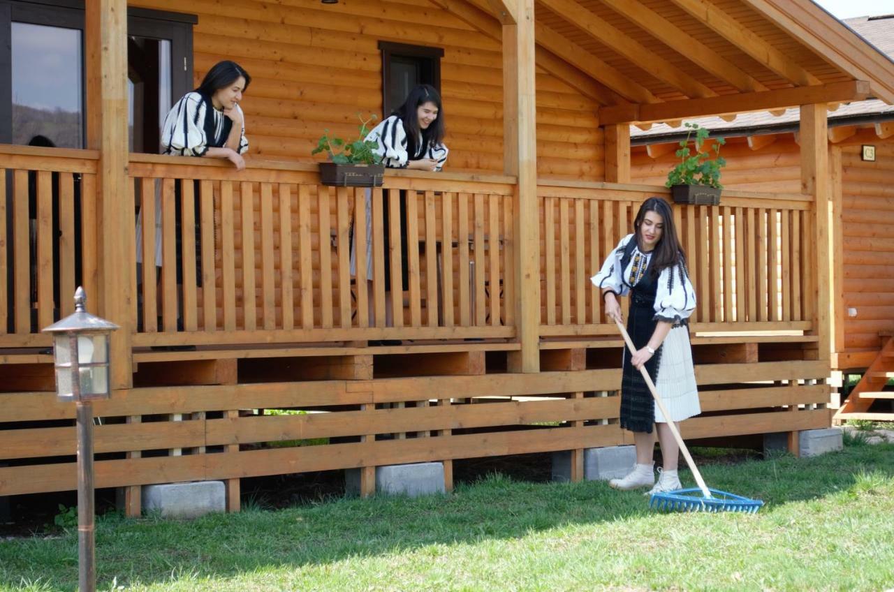 Complex Agroturistic Livada De Nuci Villa Baia de Fier Ngoại thất bức ảnh